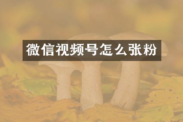 微信视频号怎么张粉