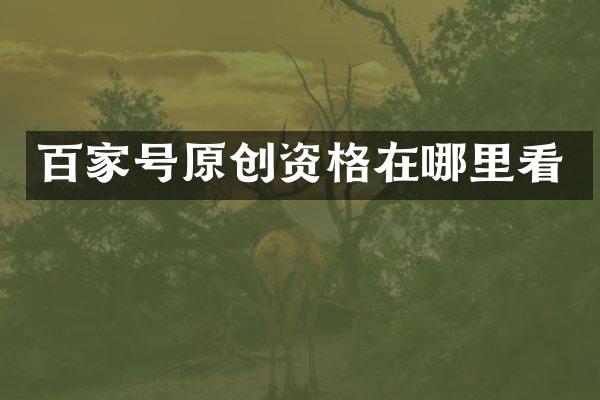 百家号原创资格在哪里看