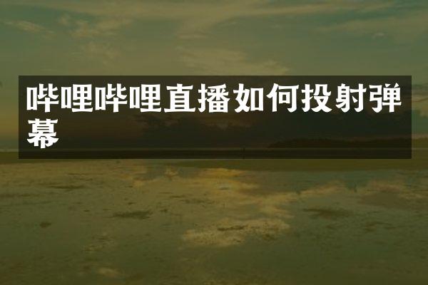 哔哩哔哩直播如何投射弹幕