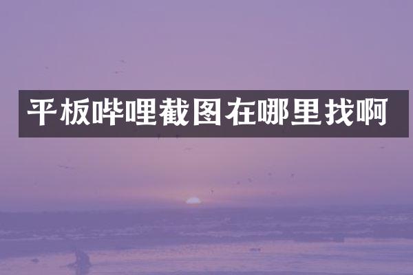平板哔哩截图在哪里找啊