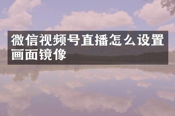 微信视频号直播怎么设置画面镜像