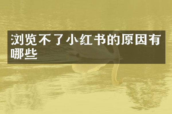 浏览不了小红书的原因有哪些
