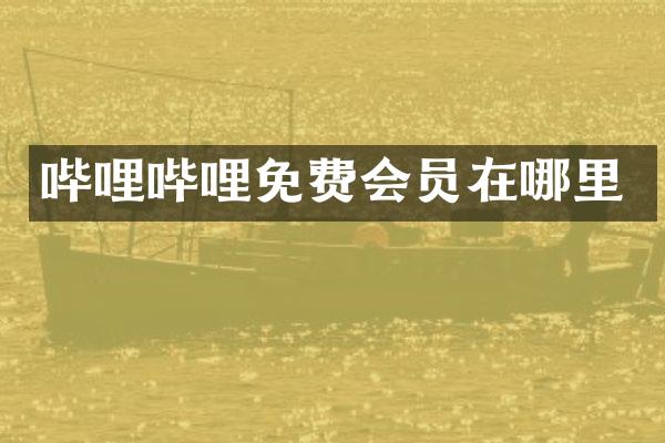 哔哩哔哩免费会员在哪里