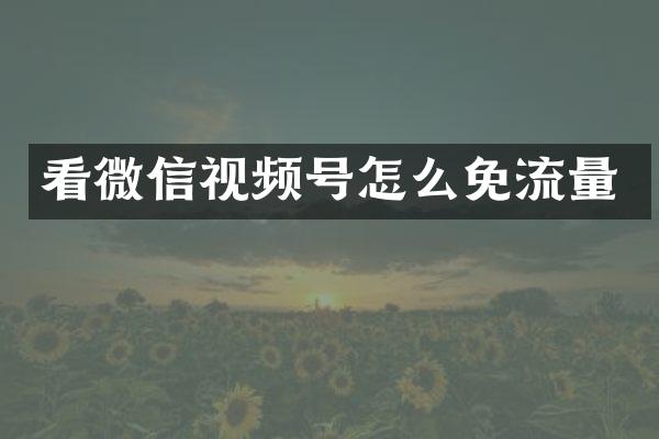 看微信视频号怎么免流量