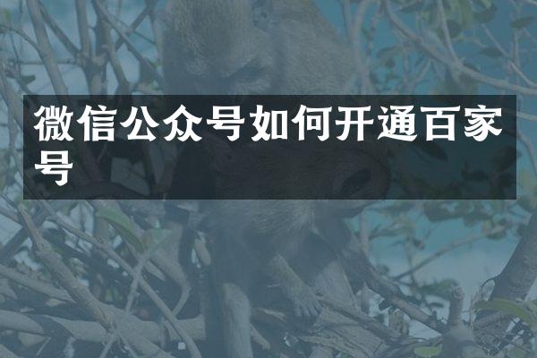 微信公众号如何开通百家号