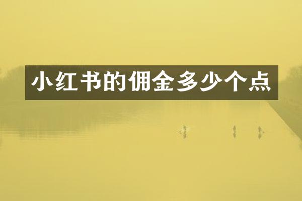 小红书的佣金多少个点