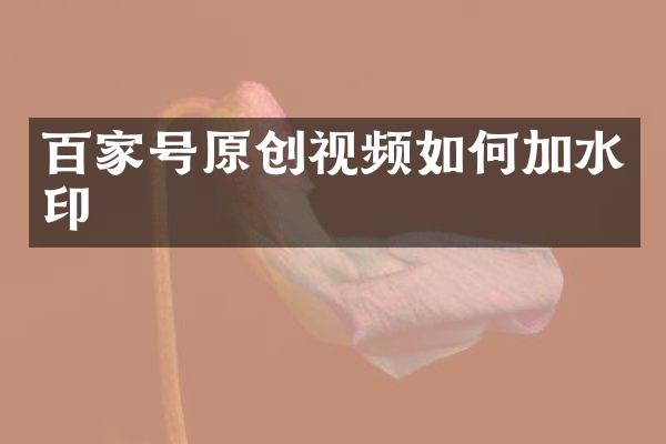 百家号原创视频如何加水印
