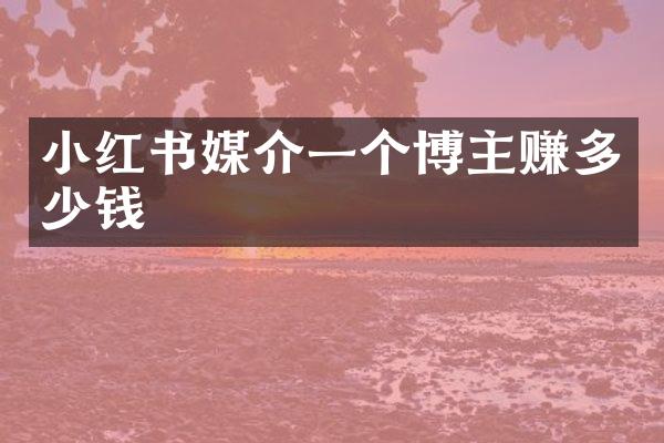 小红书媒介一个博主赚多少钱