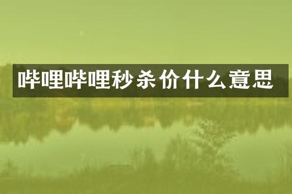 哔哩哔哩秒杀价什么意思