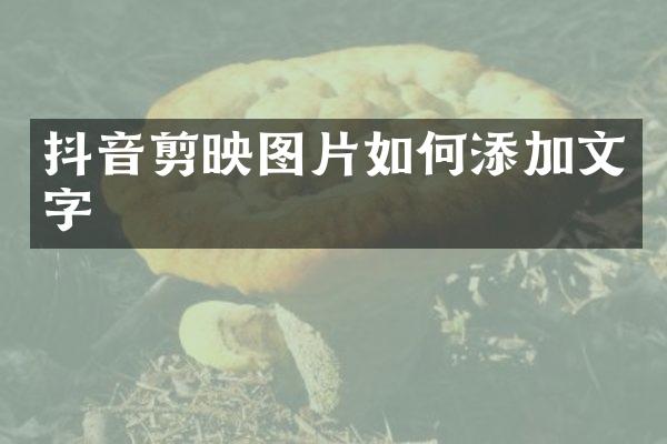 抖音剪映图片如何添加文字