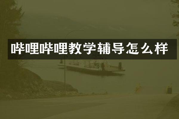 哔哩哔哩教学辅导怎么样