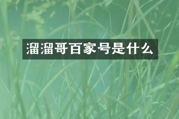 溜溜哥百家号是什么