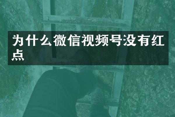 为什么微信视频号没有红点