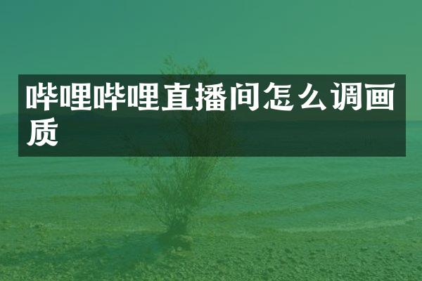 哔哩哔哩直播间怎么调画质
