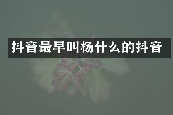 抖音最早叫杨什么的抖音