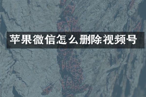 苹果微信怎么删除视频号