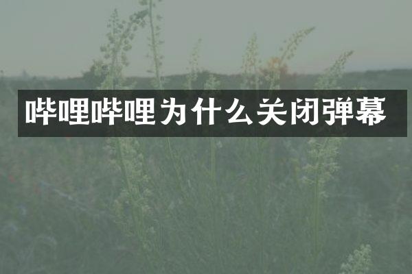 哔哩哔哩为什么关闭弹幕