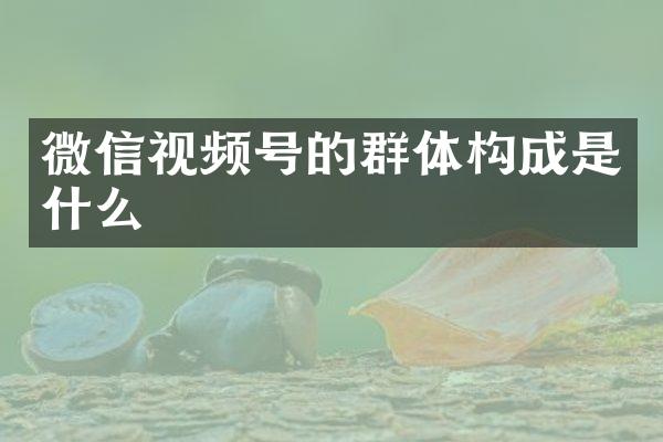 微信视频号的群体构成是什么