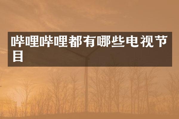 哔哩哔哩都有哪些电视节目