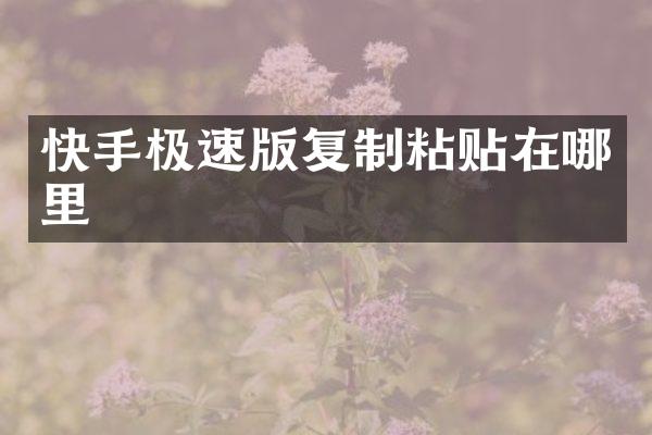 快手极速版复制粘贴在哪里