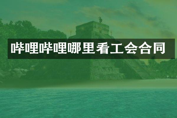 哔哩哔哩哪里看工会合同