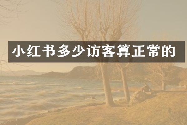 小红书多少访客算正常的