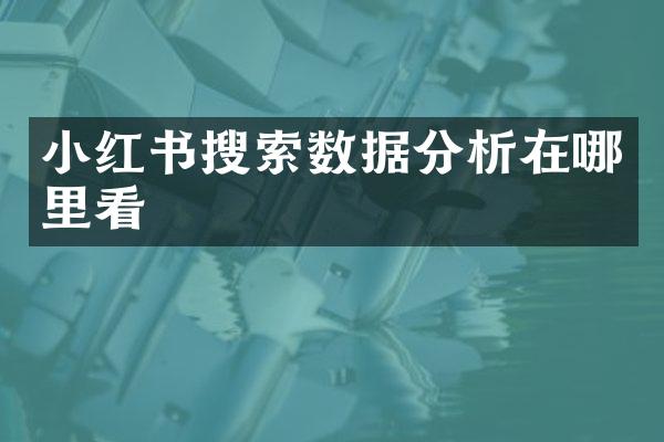 小红书搜索数据分析在哪里看