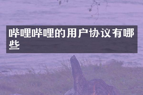 哔哩哔哩的用户协议有哪些
