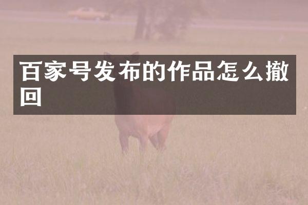 百家号发布的作品怎么撤回