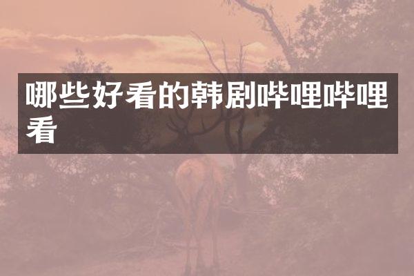 哪些好看的韩剧哔哩哔哩看
