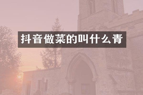 抖音做菜的叫什么青