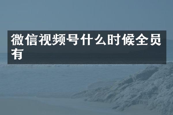 微信视频号什么时候全员有