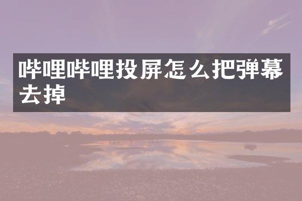 哔哩哔哩投屏怎么把弹幕去掉