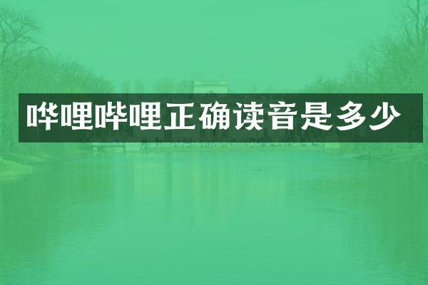 哗哩哔哩正确读音是多少