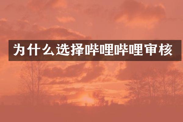 为什么选择哔哩哔哩审核