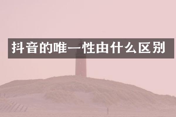 抖音的唯一性由什么区别