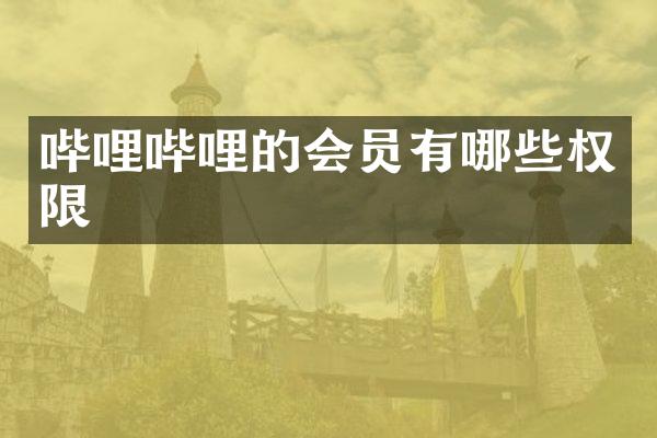 哔哩哔哩的会员有哪些权限