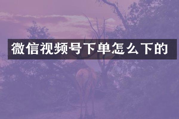微信视频号下单怎么下的