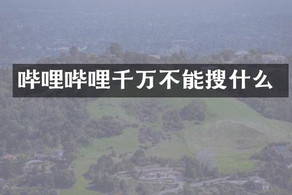 哔哩哔哩千万不能搜什么