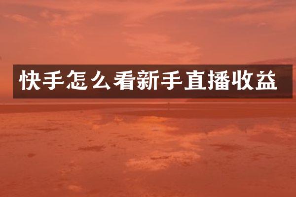 快手怎么看新手直播收益