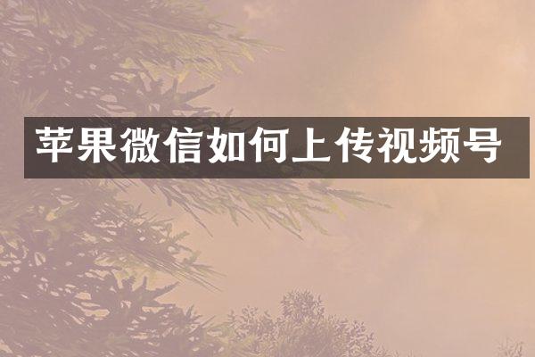 苹果微信如何上传视频号