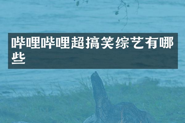 哔哩哔哩超搞笑综艺有哪些