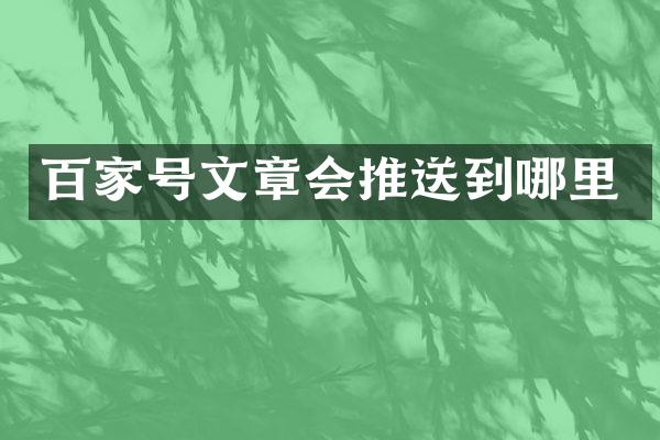 百家号文章会推送到哪里