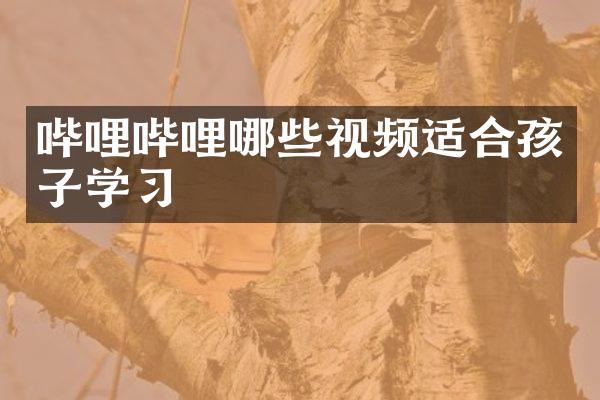 哔哩哔哩哪些视频适合孩子学习