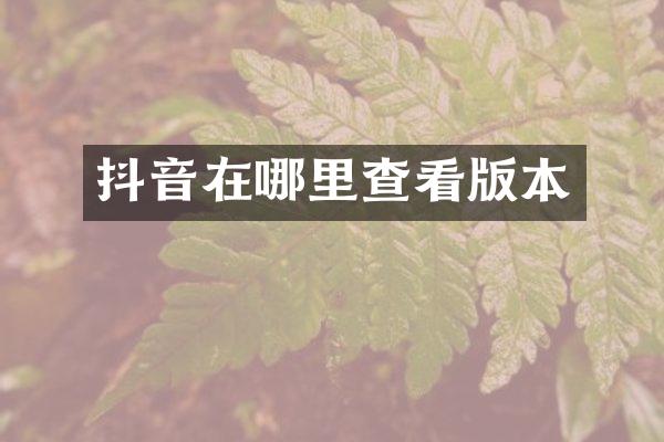 抖音在哪里查看版本