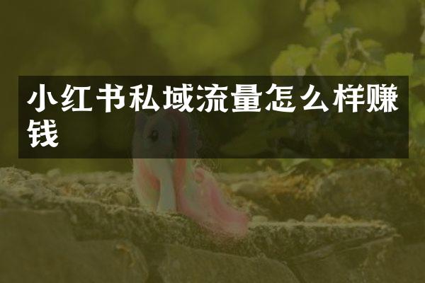 小红书私域流量怎么样赚钱