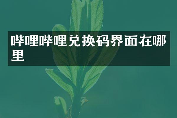 哔哩哔哩兑换码界面在哪里