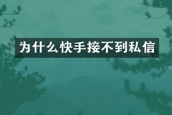 为什么快手接不到私信