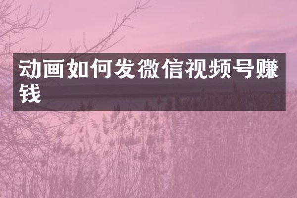动画如何发微信视频号赚钱