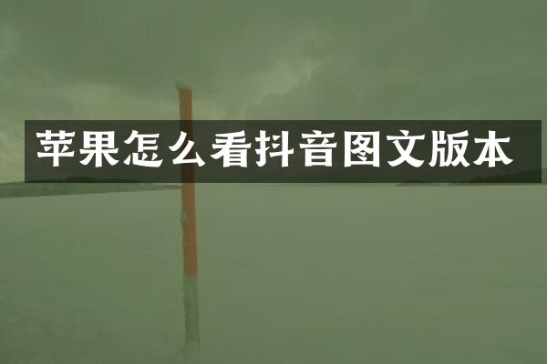 苹果怎么看抖音图文版本